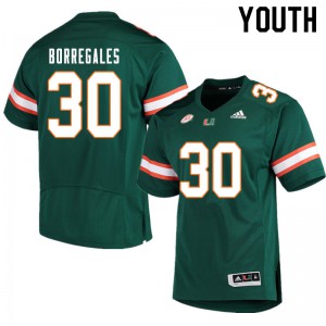 Youth Miami #30 Jose Borregales Green Embroidery Jerseys 325361-977