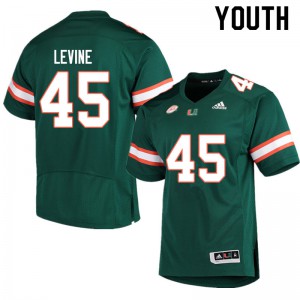 Youth University of Miami #45 Bryan Levine Green Embroidery Jerseys 668876-407